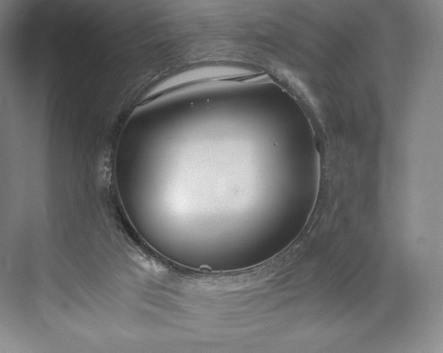 X0000073470017200608111548