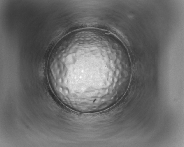 X0000073470018200608111548