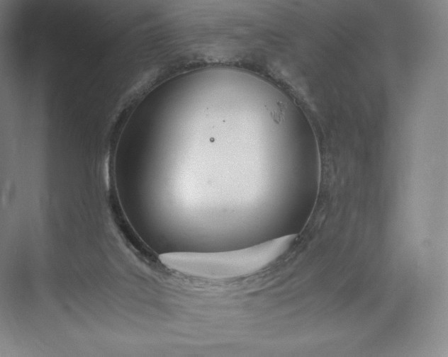 X0000073470019200608111548