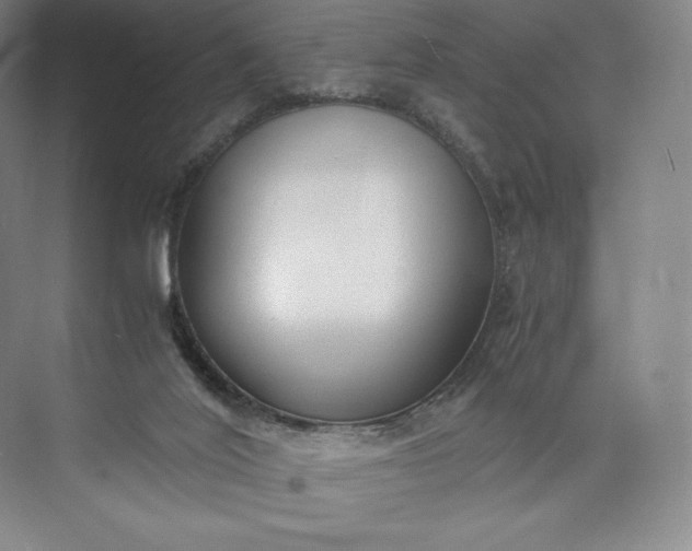 X0000073470020200608111548