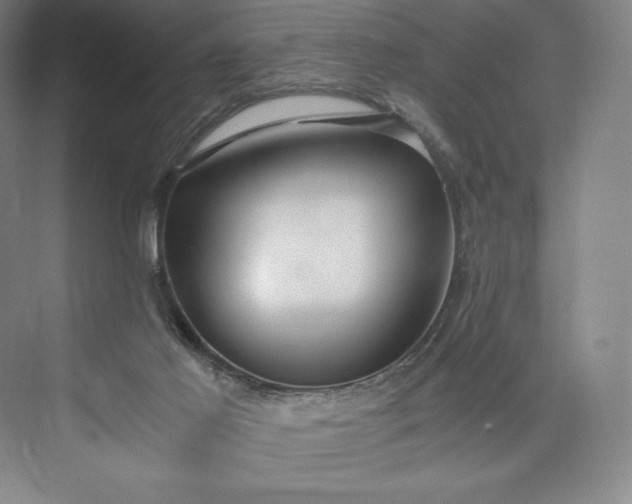 X0000073470021200608111548