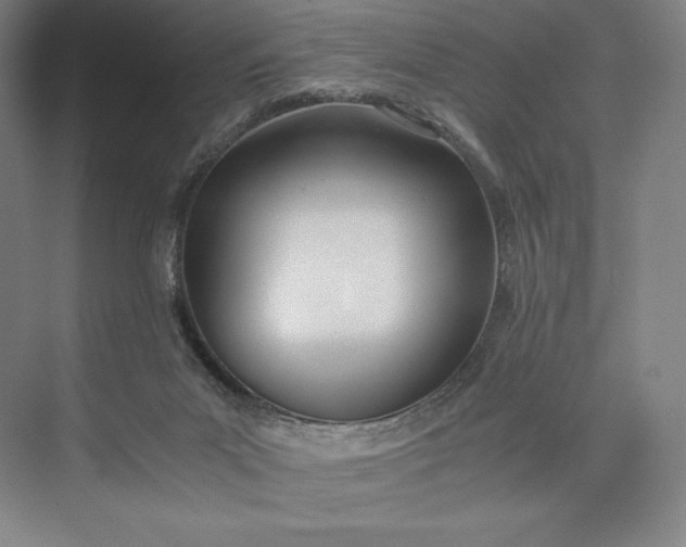 X0000073470023200608111548