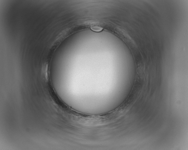 X0000073470024200608111548