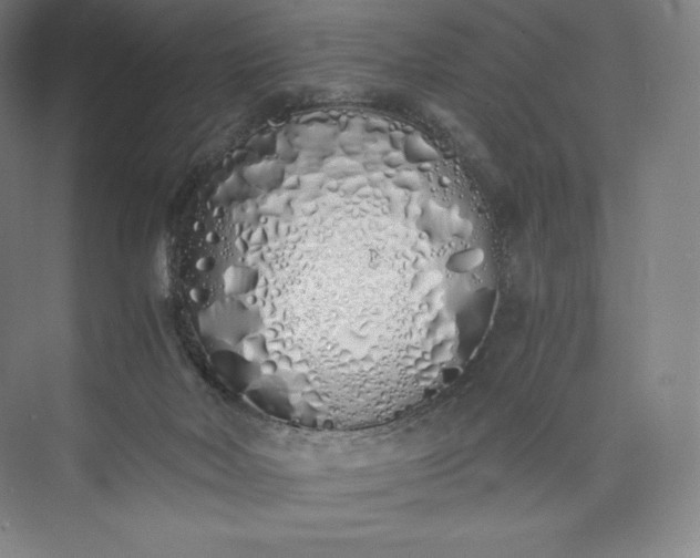 X0000073470026200608111548