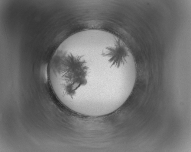 X0000073470028200608111548