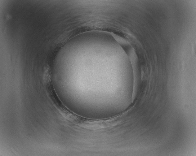 X0000073470029200608111548