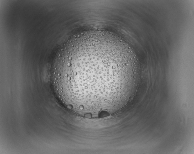 X0000073470030200608111548