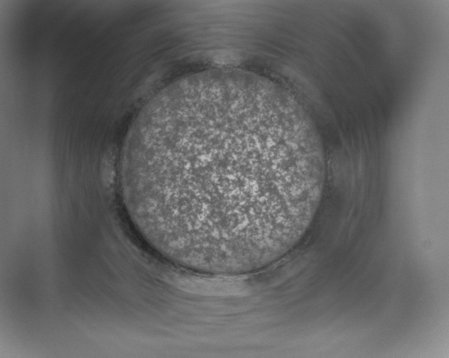 X0000073470032200608111547