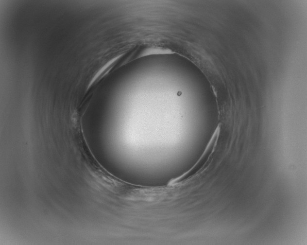 X0000073470033200608111547