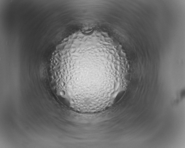 X0000073470034200608111547