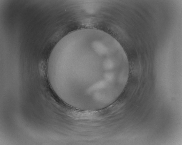 X0000073470036200608111547