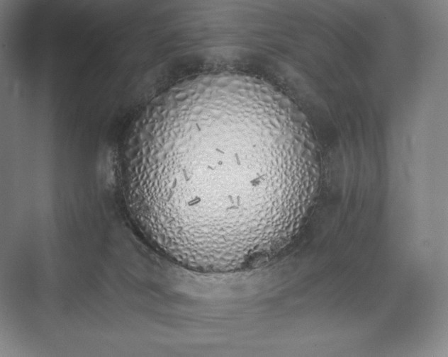 X0000073470038200608111547