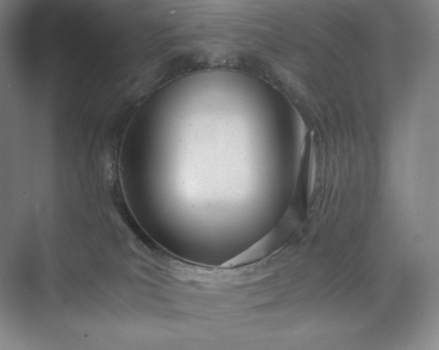 X0000073470039200608111547