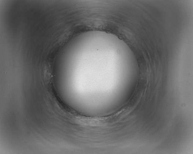 X0000073470040200608111547