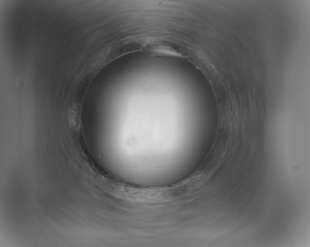 X0000073470044200608111547