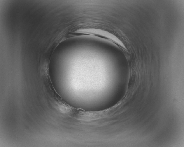 X0000073470045200608111547