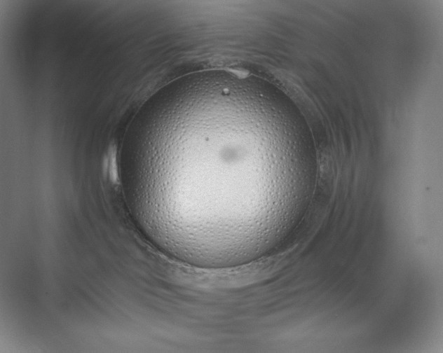 X0000073470046200608111547