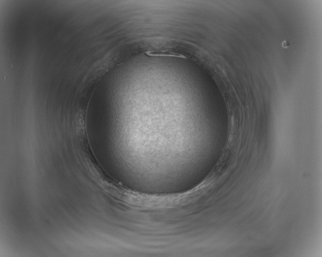 X0000073470048200608111547