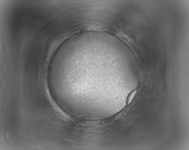 X0000073470049200608111546