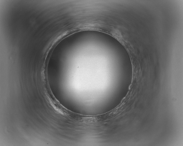 X0000073470050200608111546