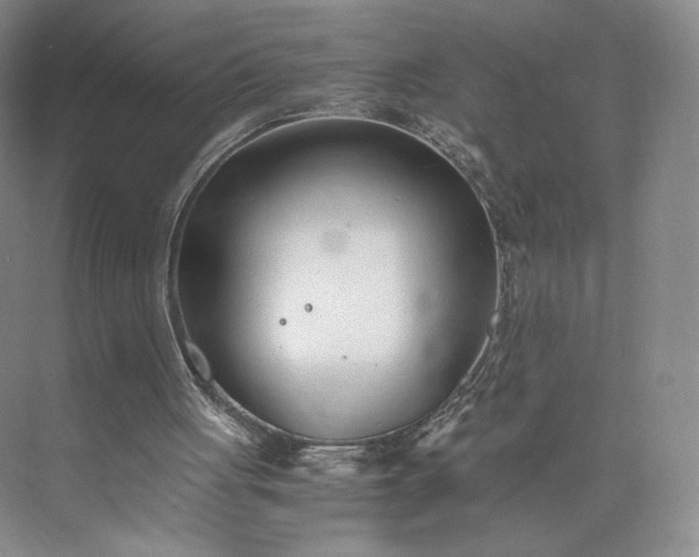 X0000073470051200608111546