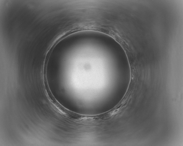 X0000073470052200608111546