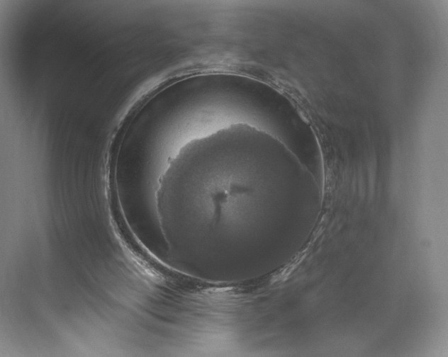 X0000073470054200608111546