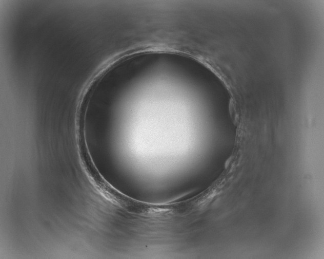 X0000073470055200608111546