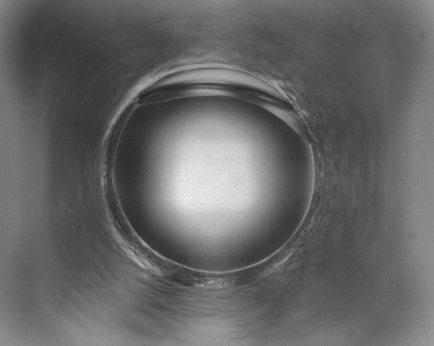 X0000073470056200608111547