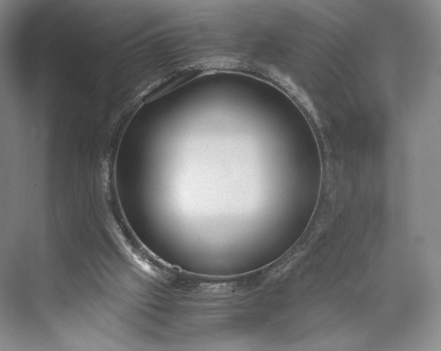 X0000073470057200608111547