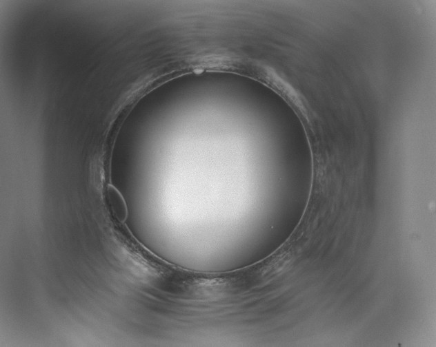 X0000073470059200608111547