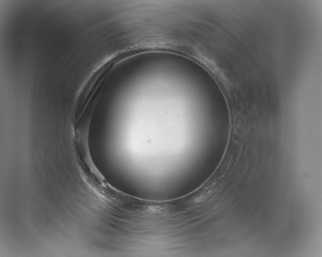 X0000073470060200608111547