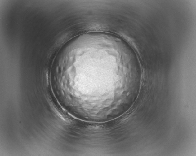 X0000073470061200608111547