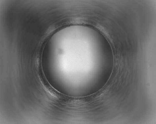 X0000073470063200608111547