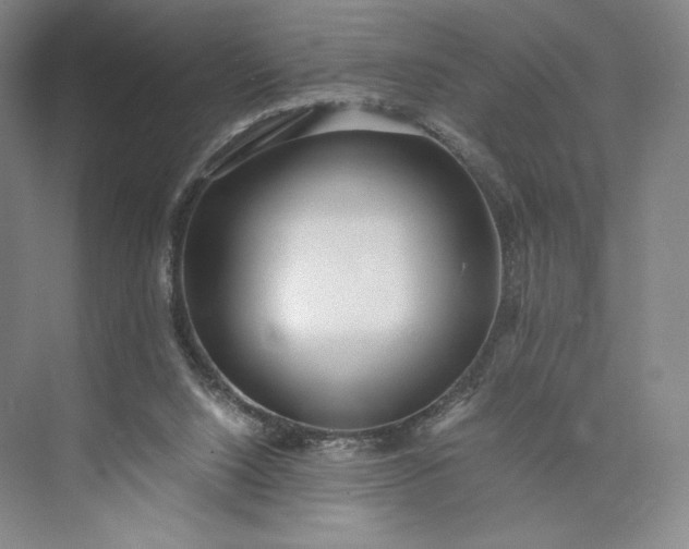 X0000073470064200608111547