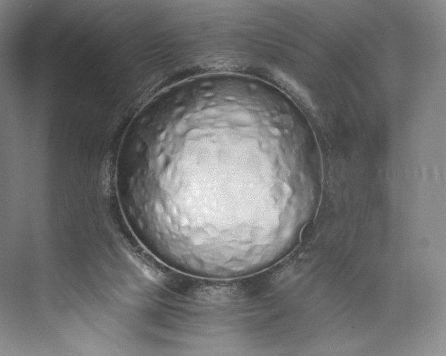 X0000073470065200608111547