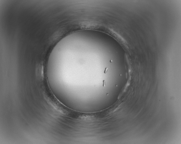 X0000073470067200608111547