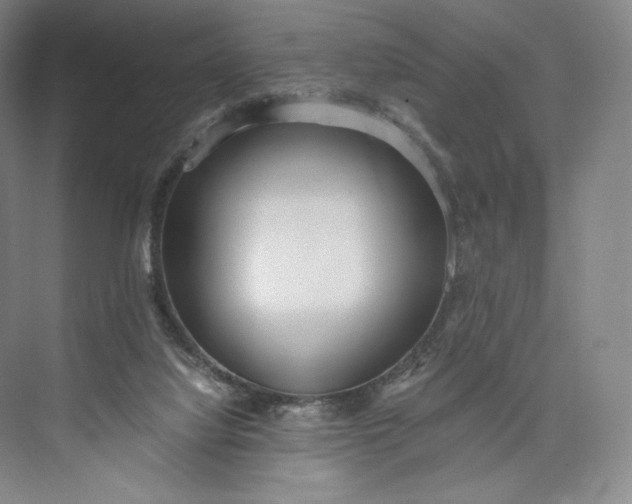 X0000073470068200608111547