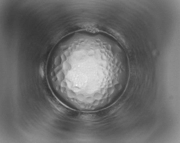 X0000073470069200608111547