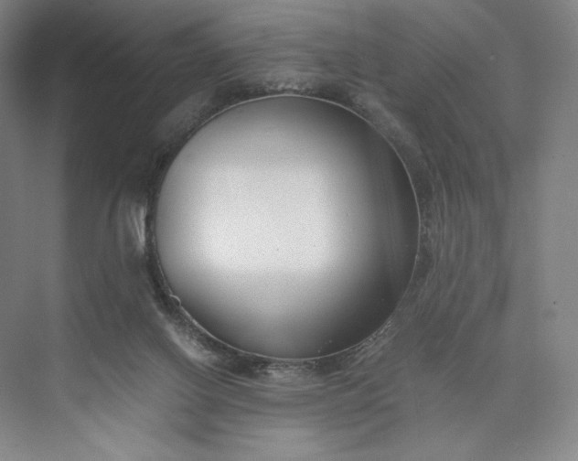 X0000073470070200608111547