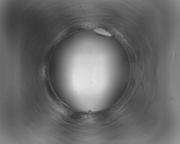 X0000073470071200608111547