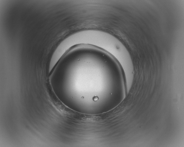 X0000073470072200608111547