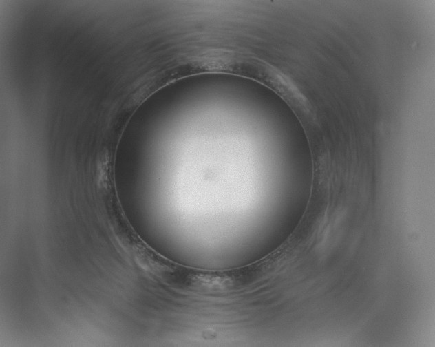 X0000073470073200608111547