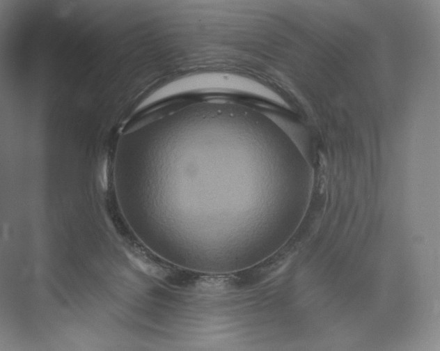 X0000073470076200608111547