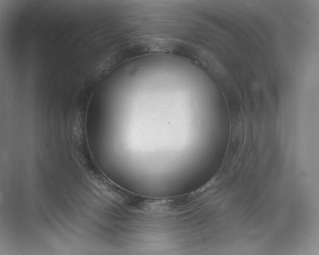 X0000073470078200608111547