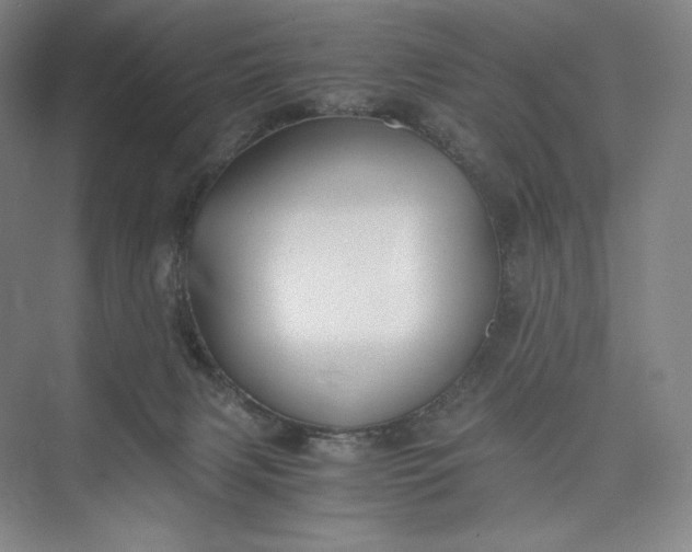 X0000073470079200608111547