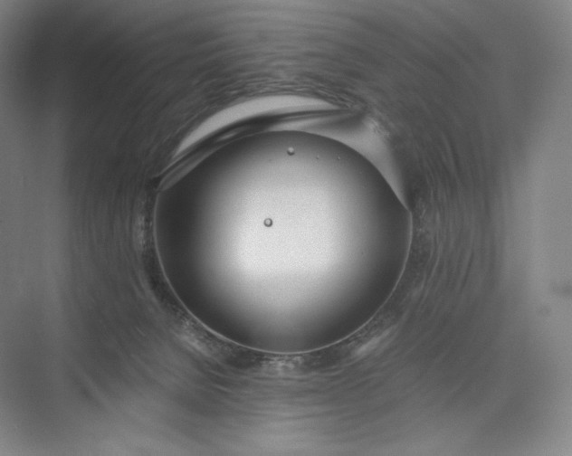 X0000073470080200608111547