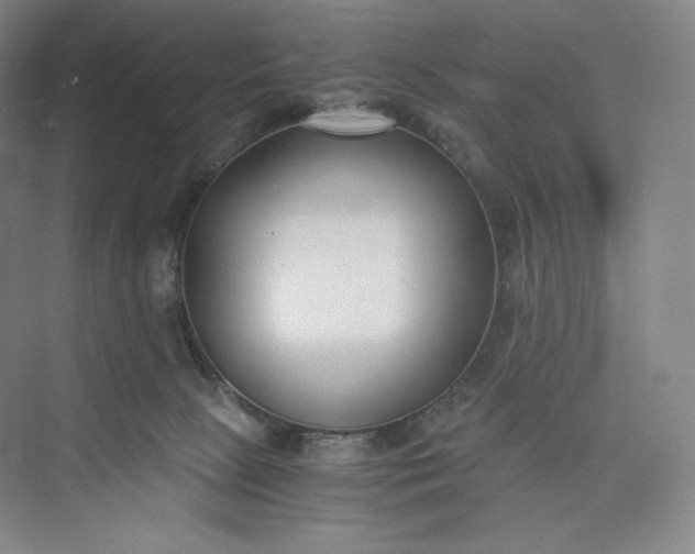 X0000073470081200608111547