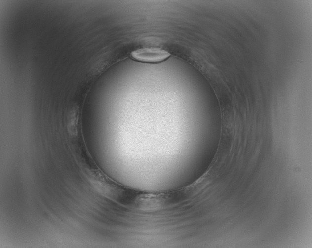 X0000073470082200608111547