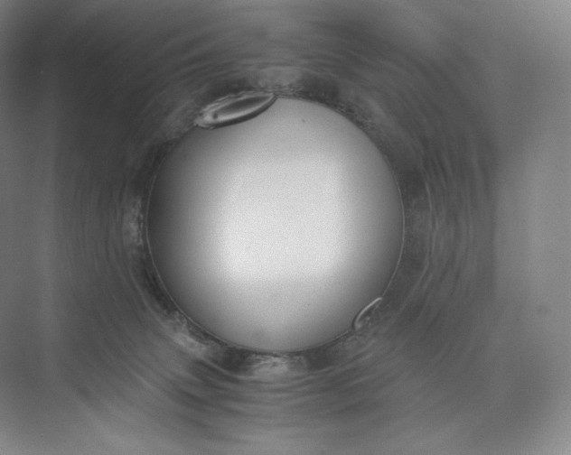 X0000073470083200608111547